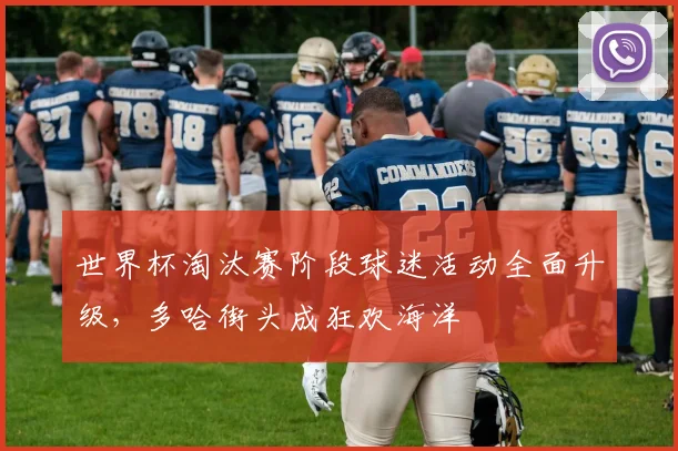 世界杯淘汰赛阶段球迷活动全面升级，多哈街头成狂欢海洋