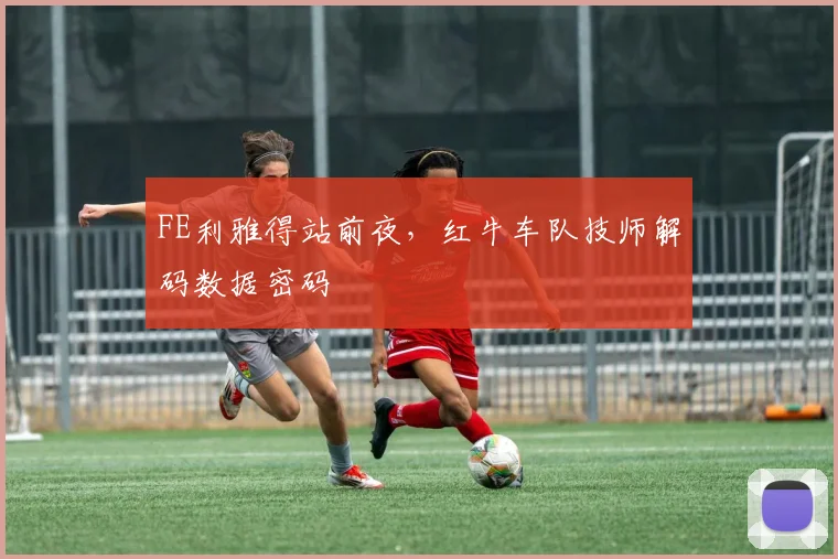 FE利雅得站前夜，红牛车队技师解码数据密码
