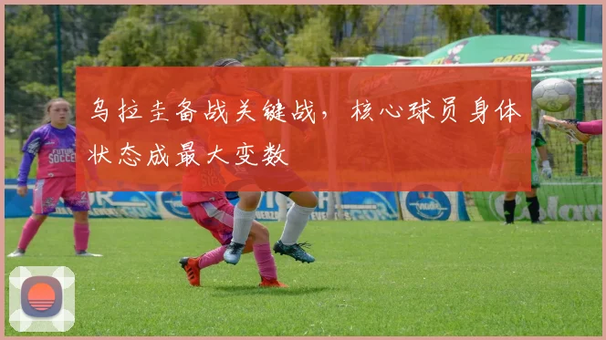 乌拉圭备战关键战，核心球员身体状态成最大变数