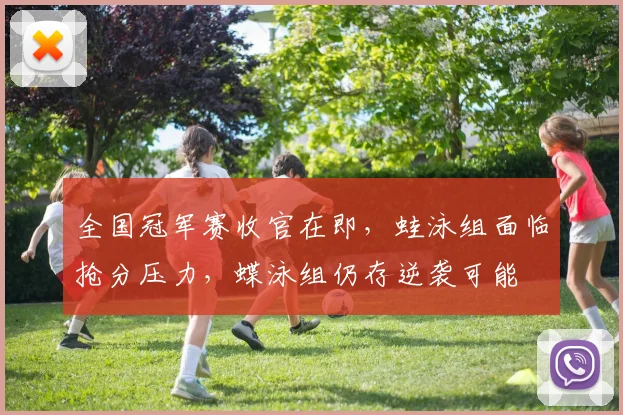全国冠军赛收官在即，蛙泳组面临抢分压力，蝶泳组仍存逆袭可能