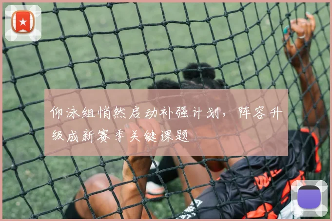 仰泳组悄然启动补强计划，阵容升级成新赛季关键课题