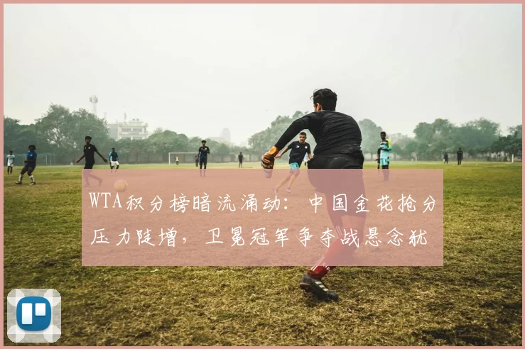 WTA积分榜暗流涌动：中国金花抢分压力陡增，卫冕冠军争夺战悬念犹存